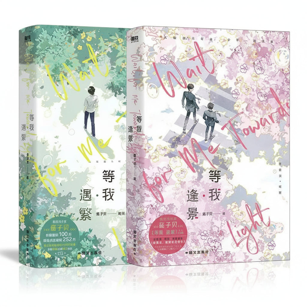 Wait for Me After School official Chinese novel set image 1