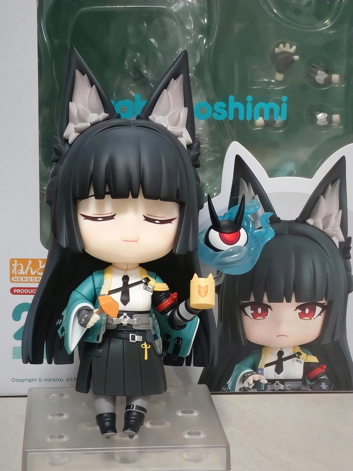 Nendoroid figure - with box display