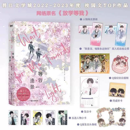 Wait for Me After School official Chinese novel set image 3