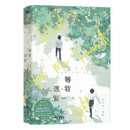 Wait for Me After School official Chinese novel set image 4